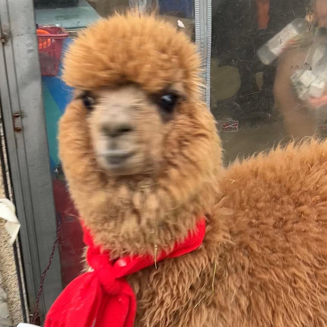 你猜猜吧哈哈