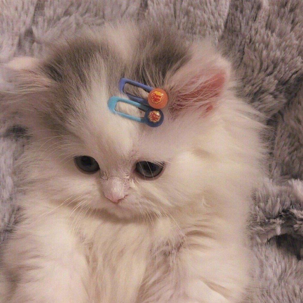 她、
