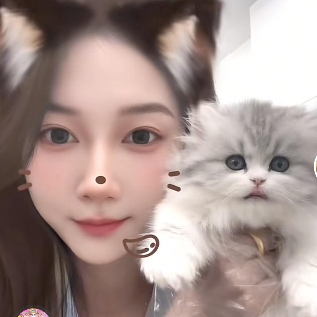 月月幼儿园🐱