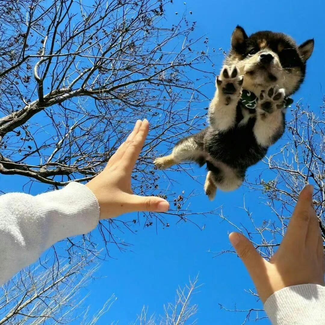 何乐不为