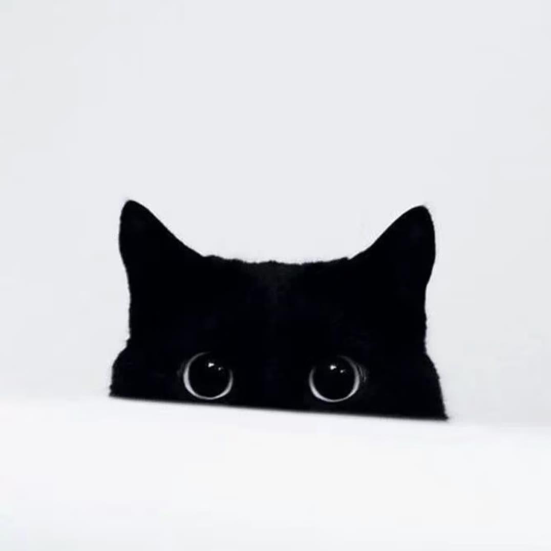 有点小U伤.