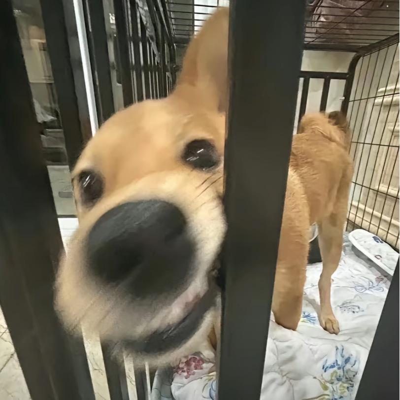 木木^