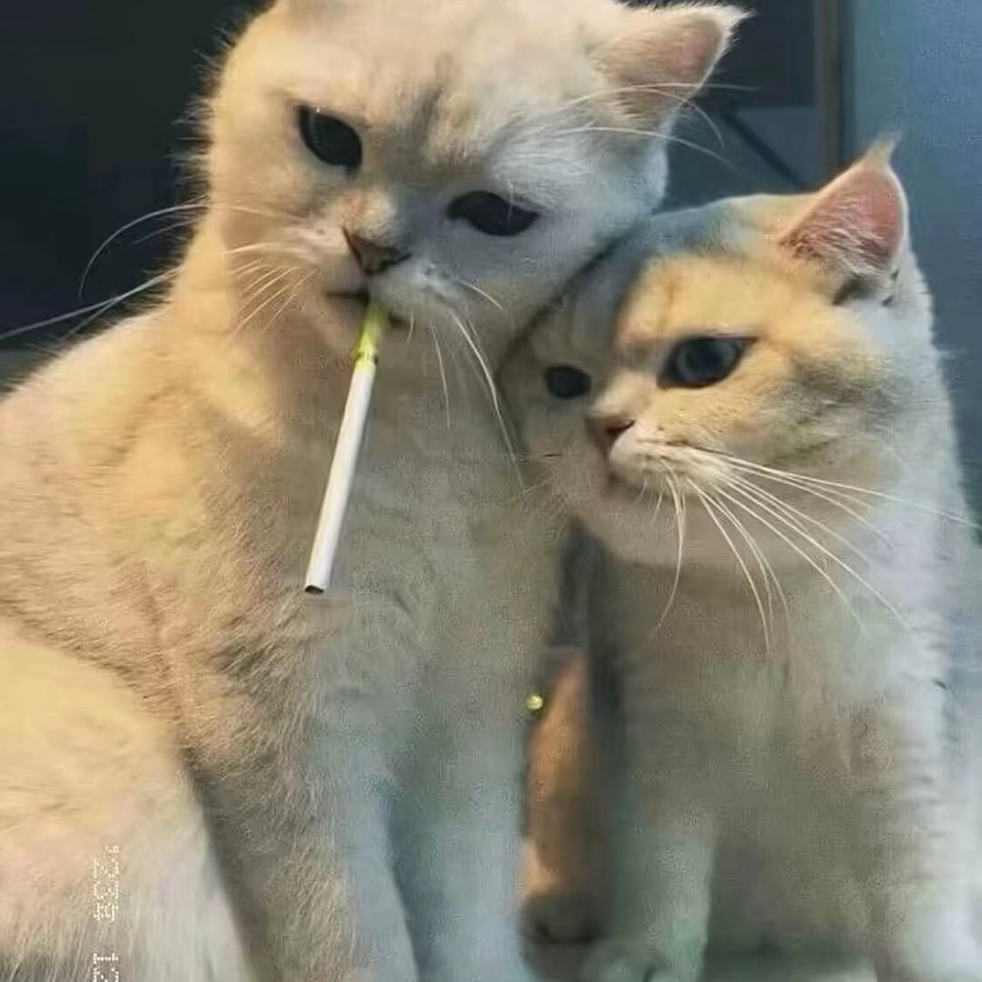 🌑