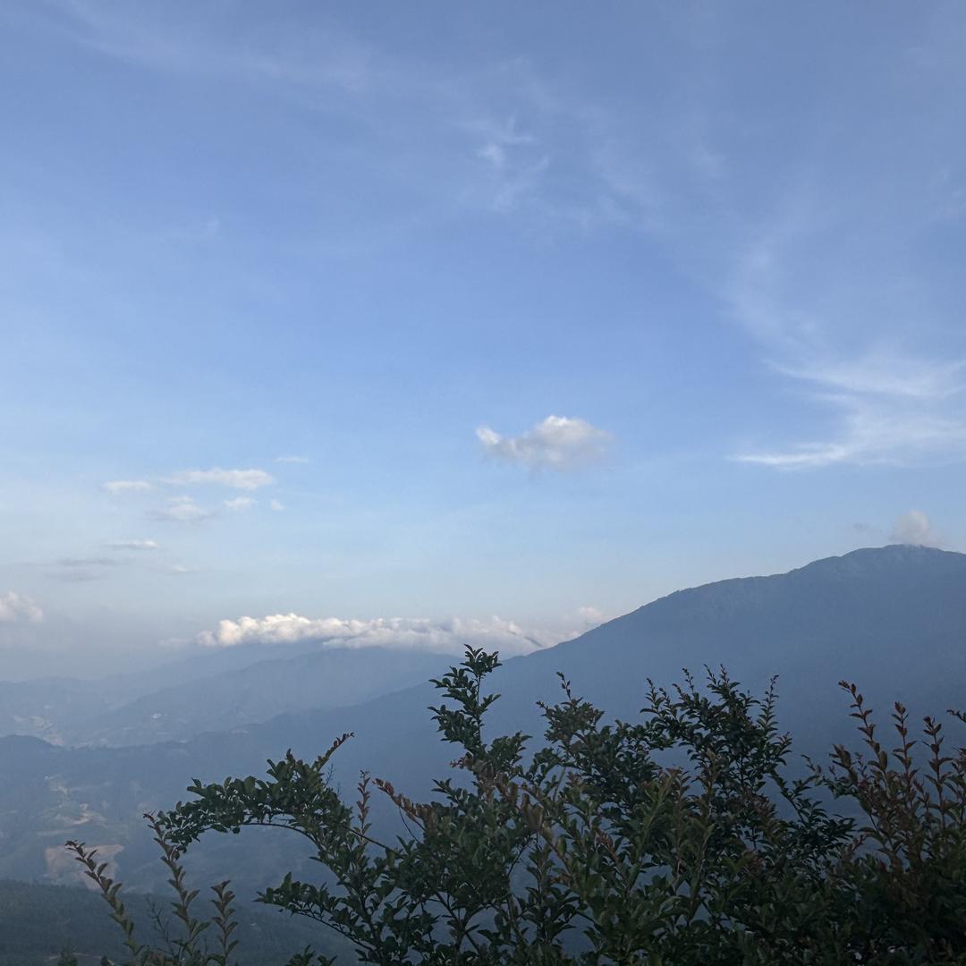 阿伟生鲜农产品