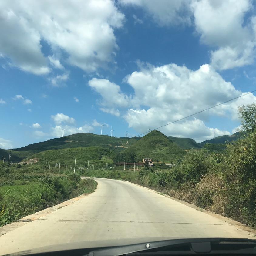 风中立