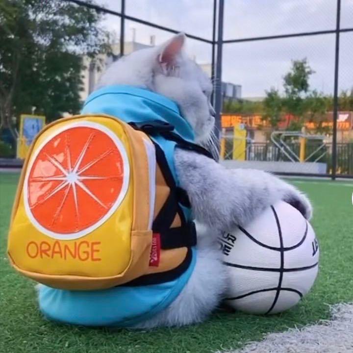 一个男孩