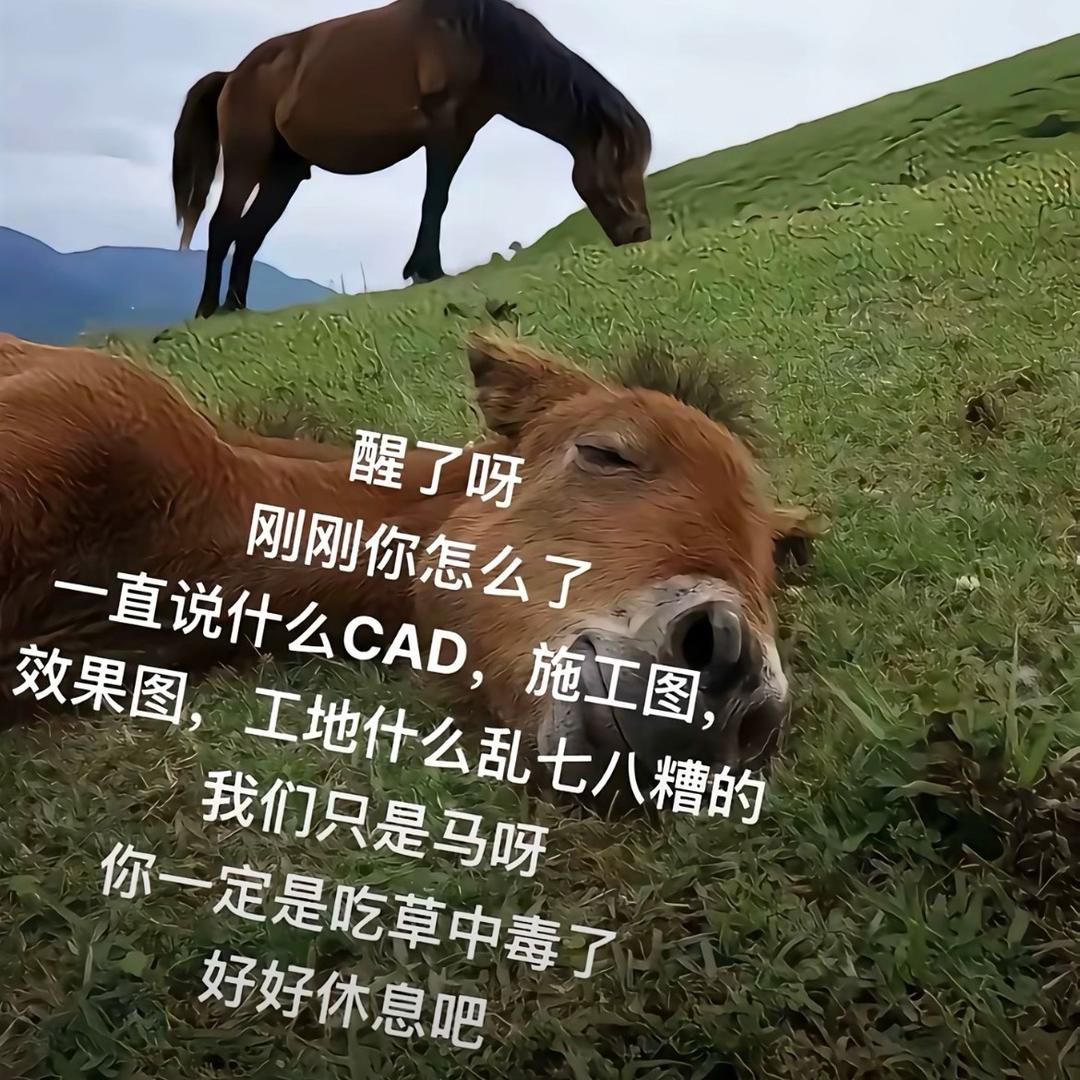 游🇨🇳