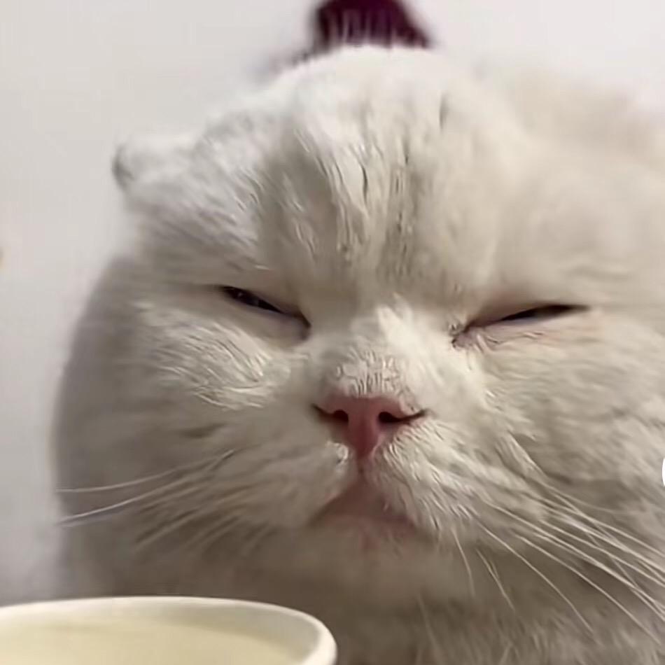 要学会安静😞