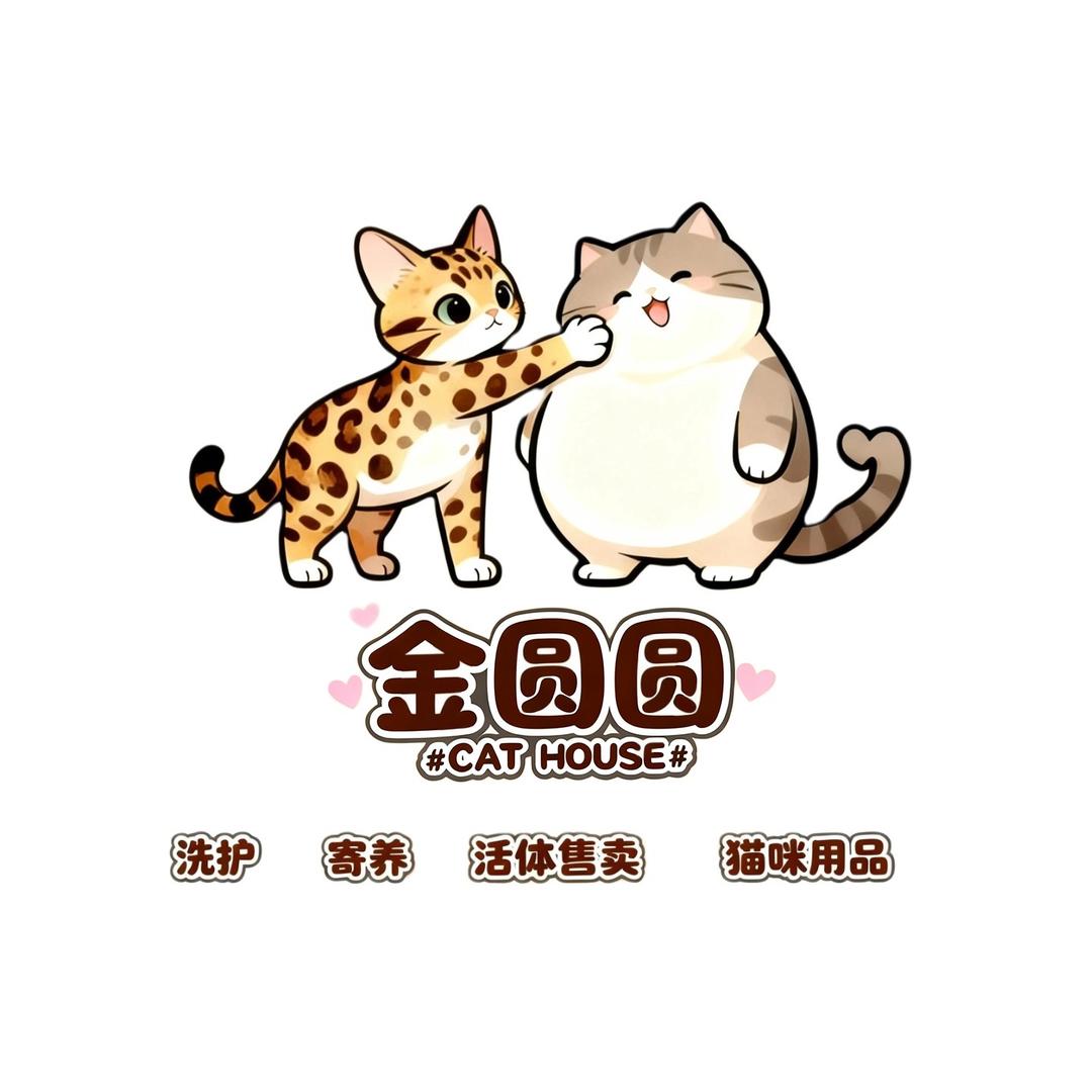 金圆圆家的猫