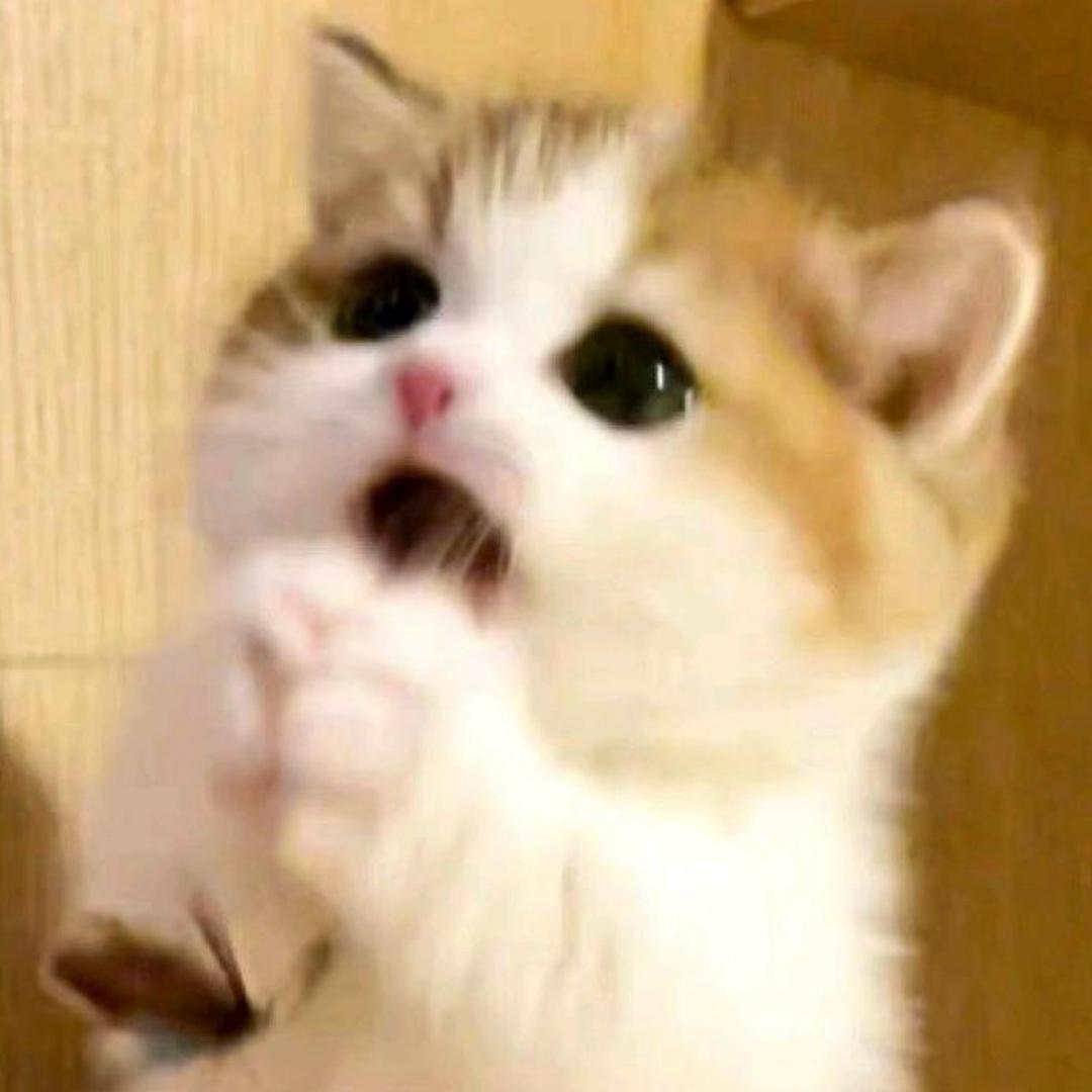 莓u欣事