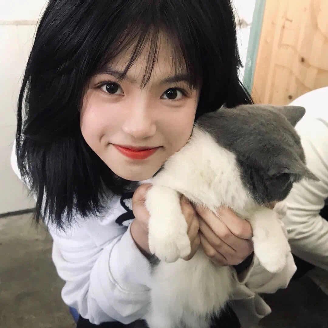 你的小爱同学