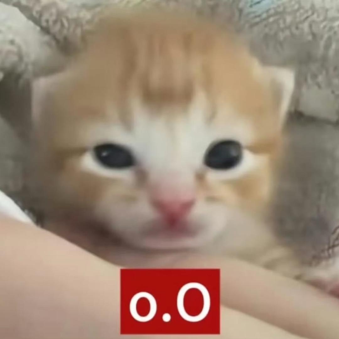 爱你爸妈麦田见