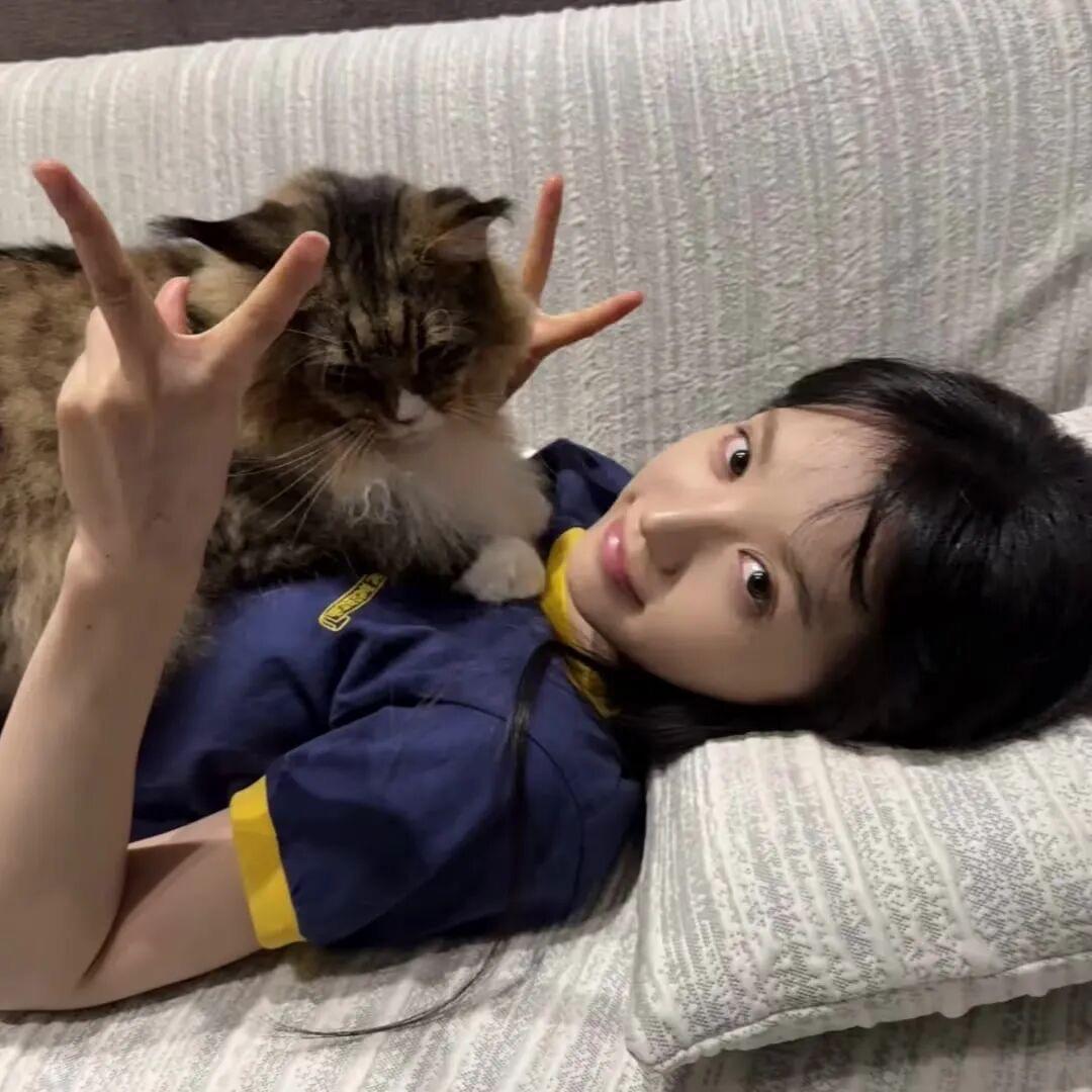 抑郁的小鱼饼
