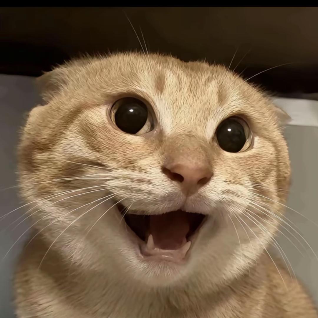 活得像个套用完就被丟