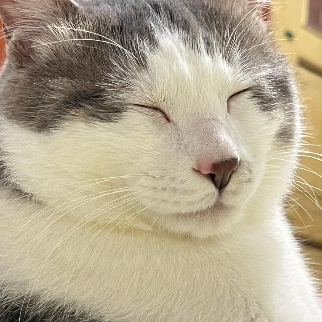 仨