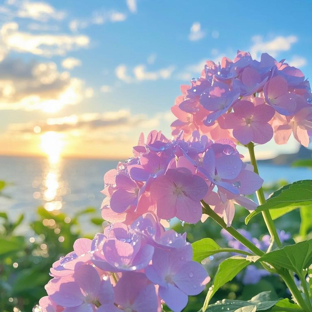 初见花卉园