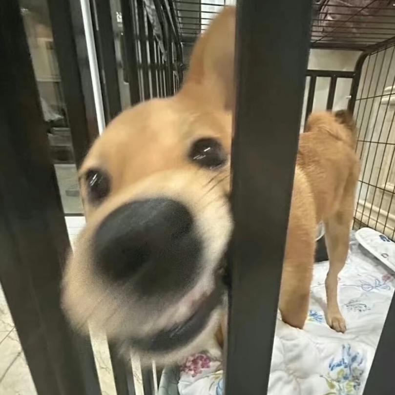 1点点：