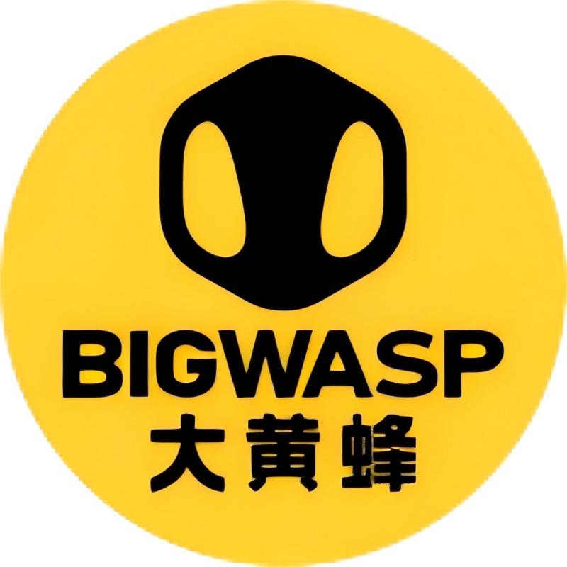 大黄蜂BIG WASP鞋服旗舰店