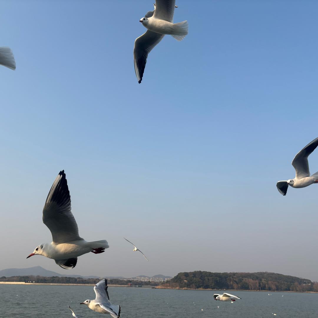 卿浮生