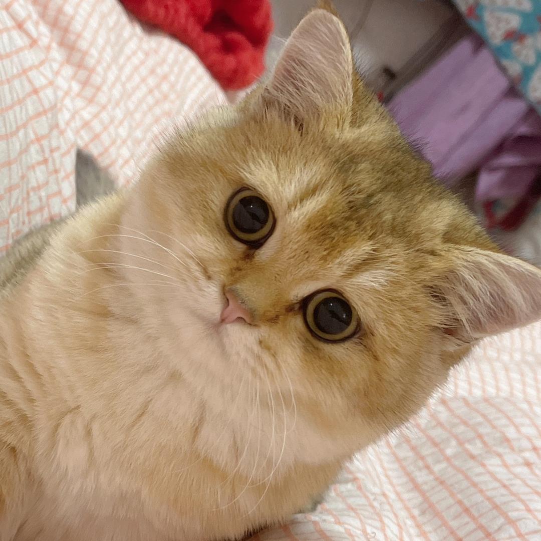 南京六合渔文阁渔具