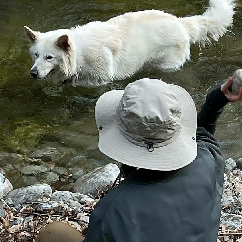 惠机小进(专业卖机卖机卖机)