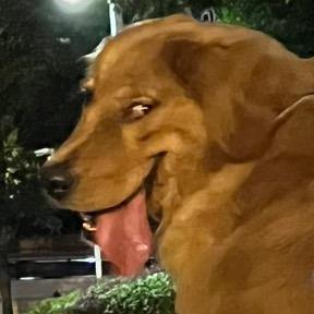 杨崽崽🐶
