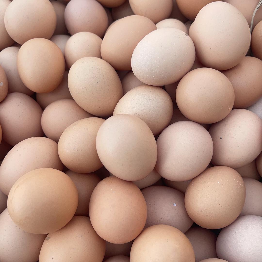 海山小余卖蛋🥚