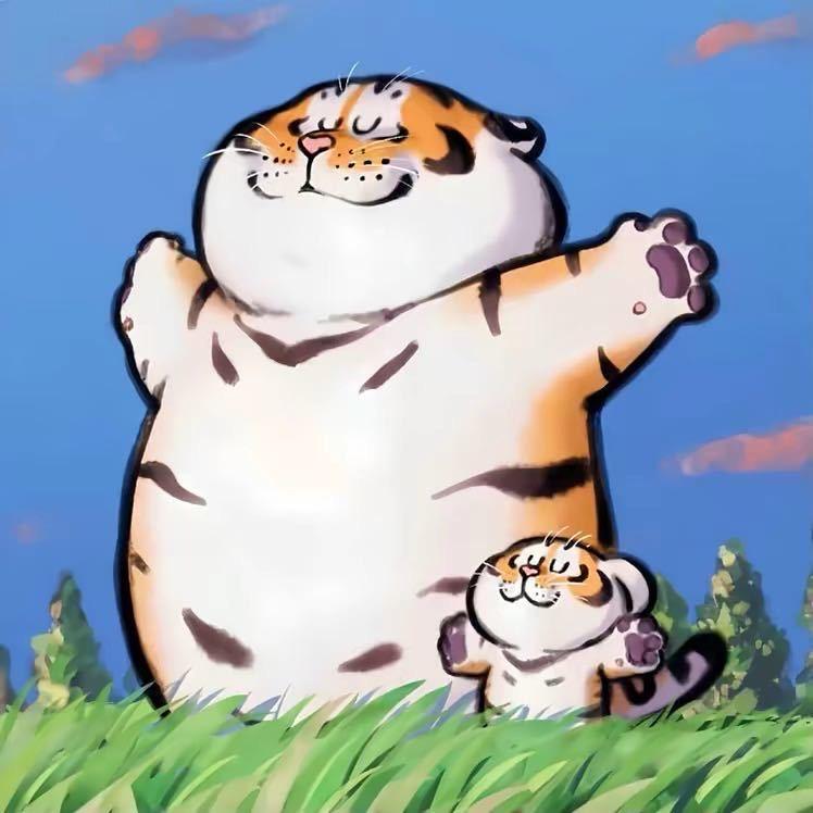 三跨数码