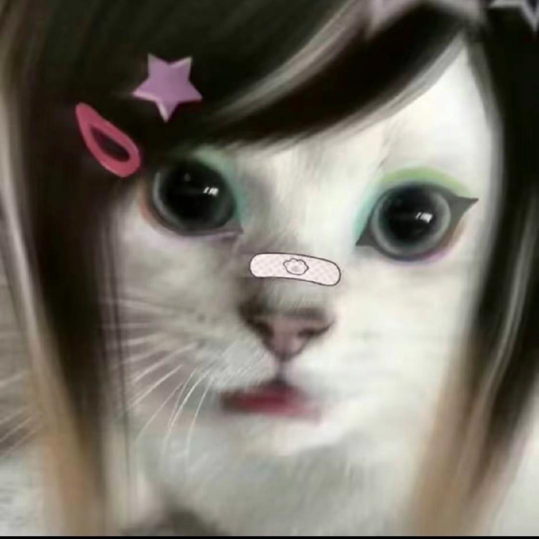 法哭所有人头像