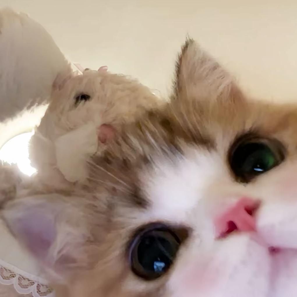 。。。。……