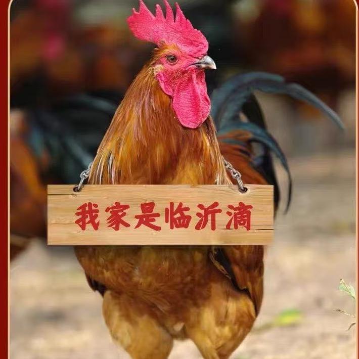 国国食品
