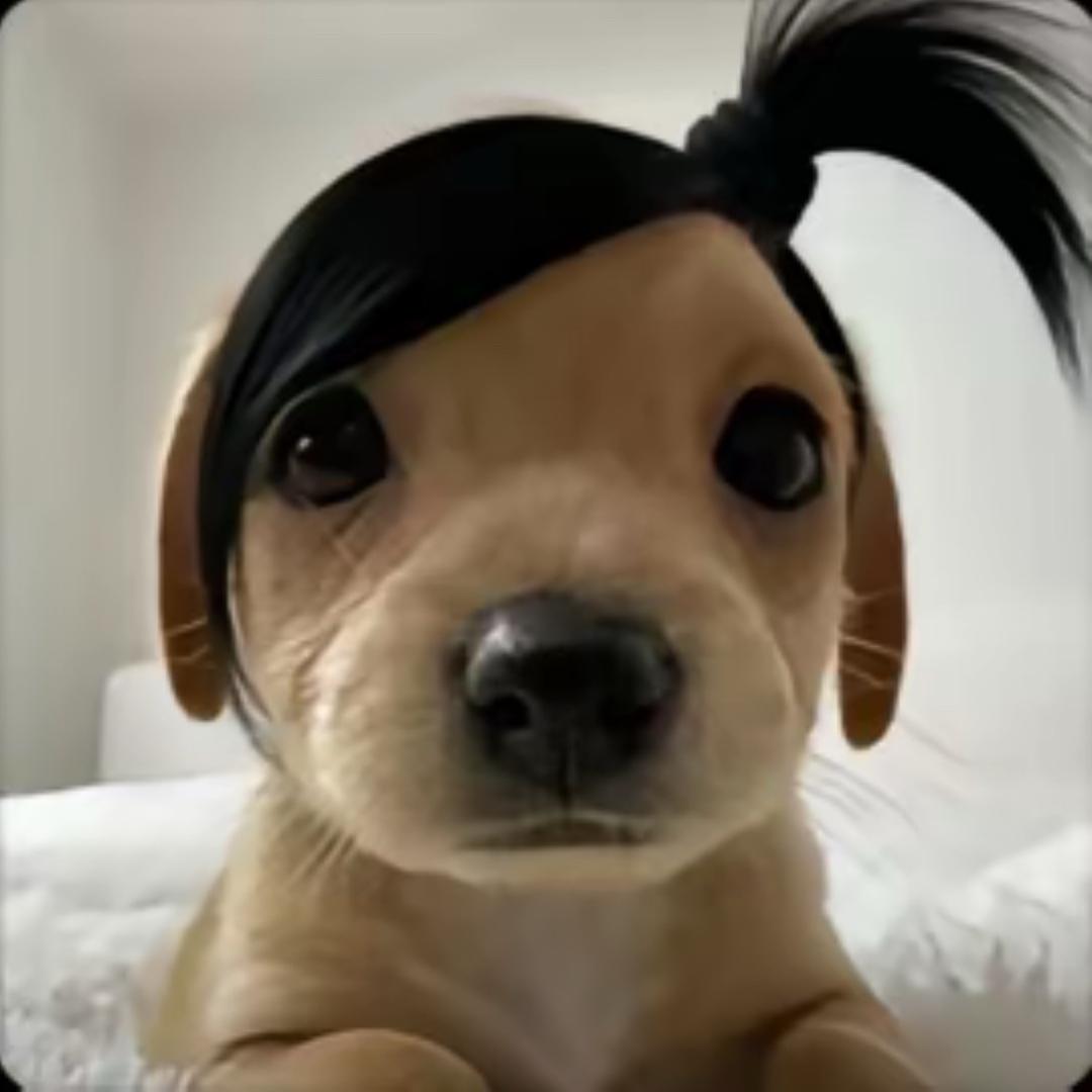 不个性