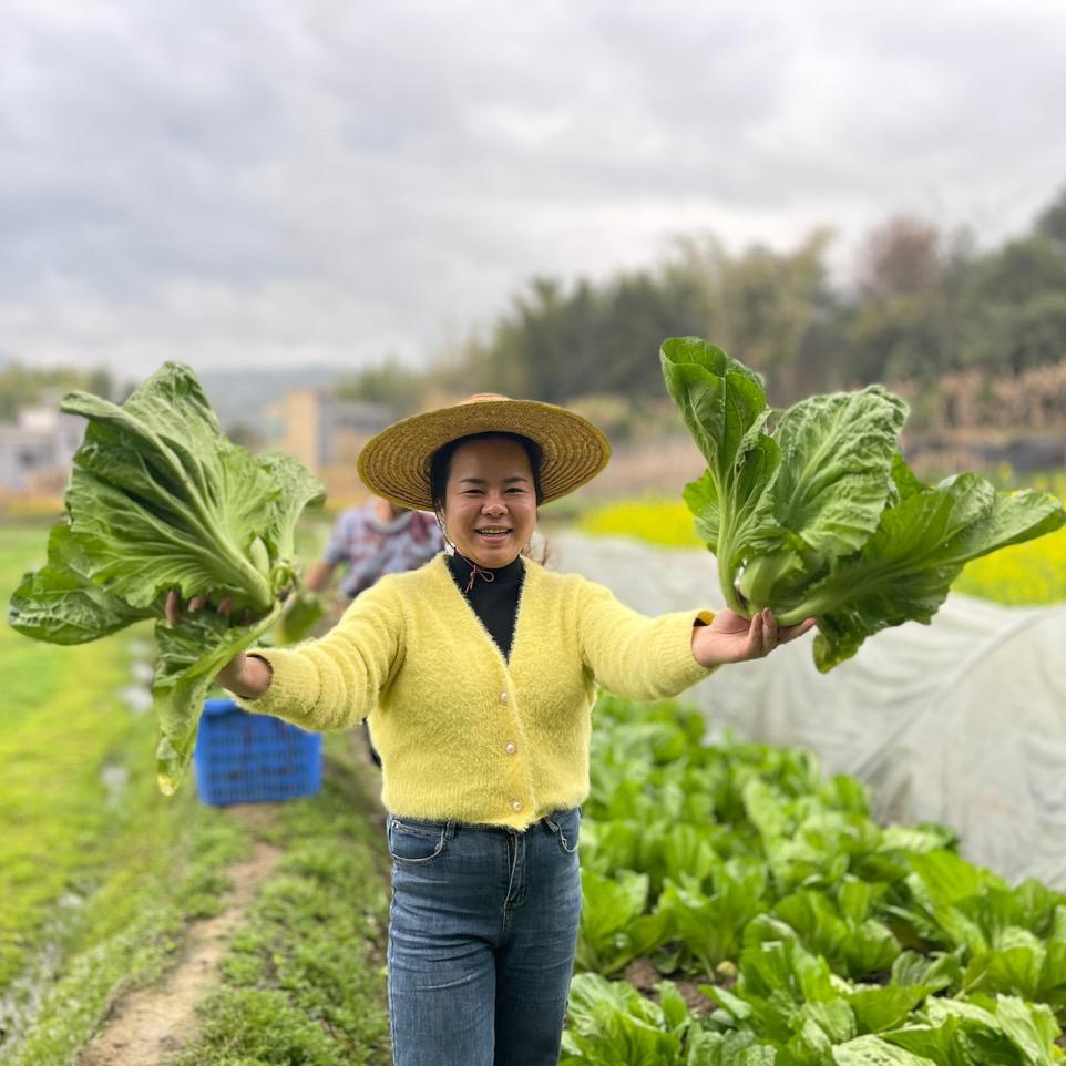 泡菜妹妹