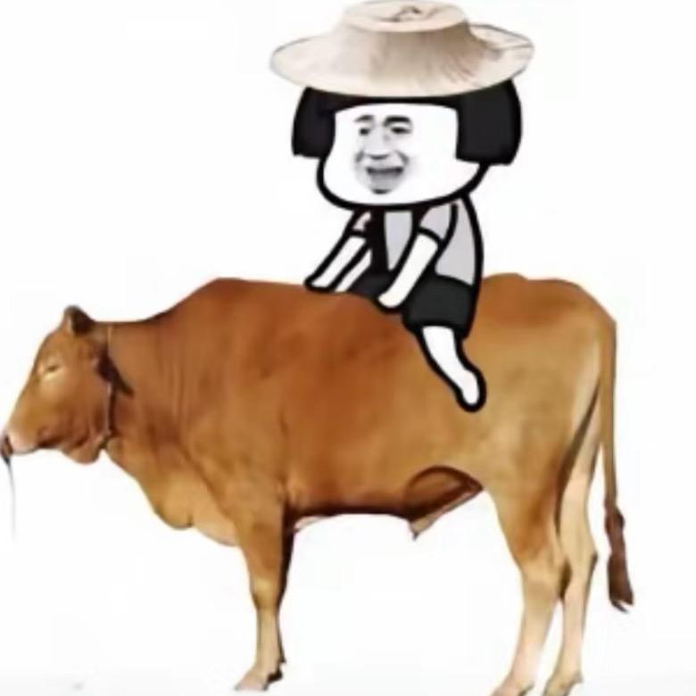 常见的直播回放（授权号）