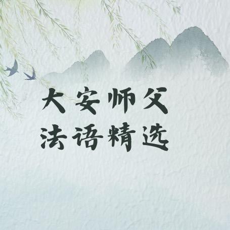 师父法语精选
