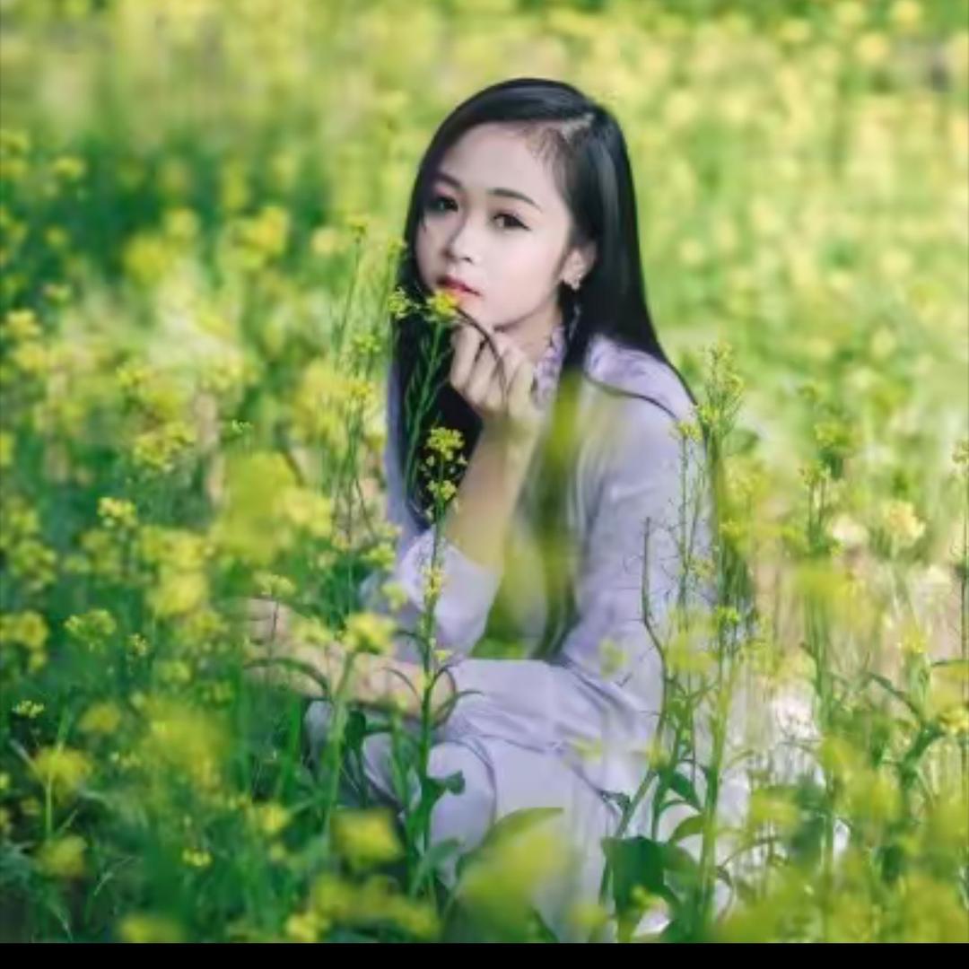 农业植保小何