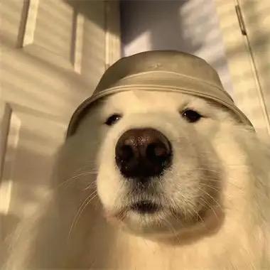 bin
