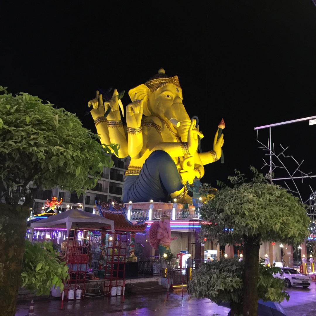 爱吃排骨土豆