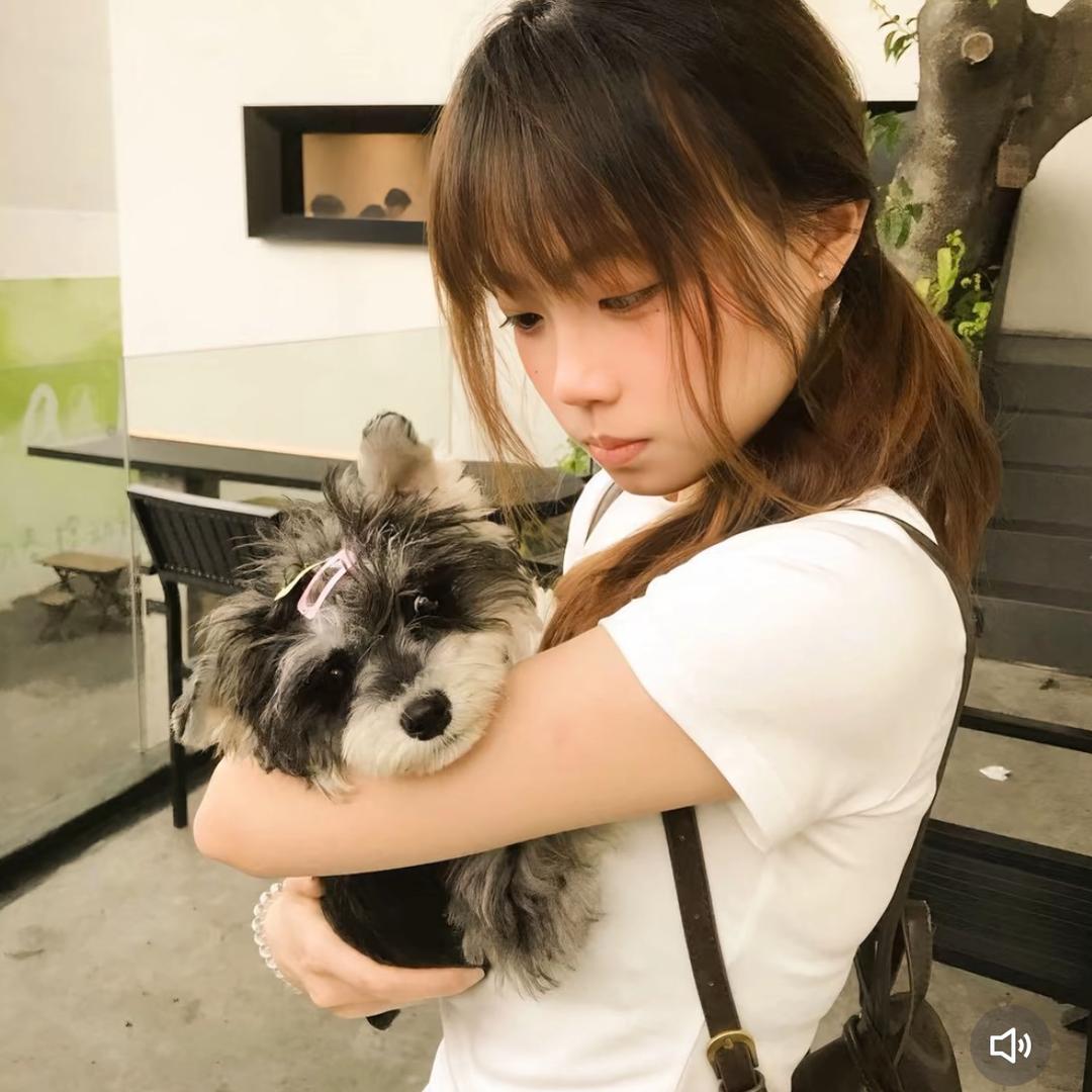 我不是嘎嘎