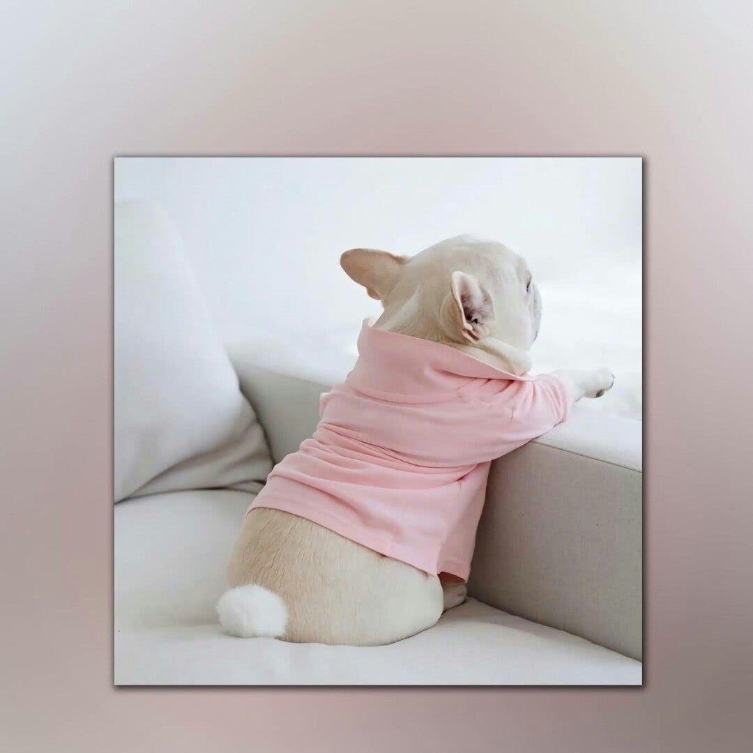 👗伤我浸骨而我忍你如命