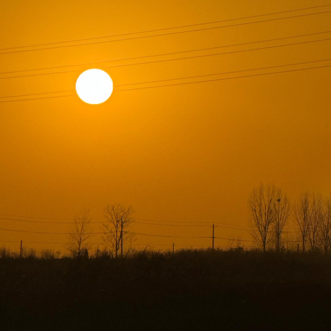 🌞🌞