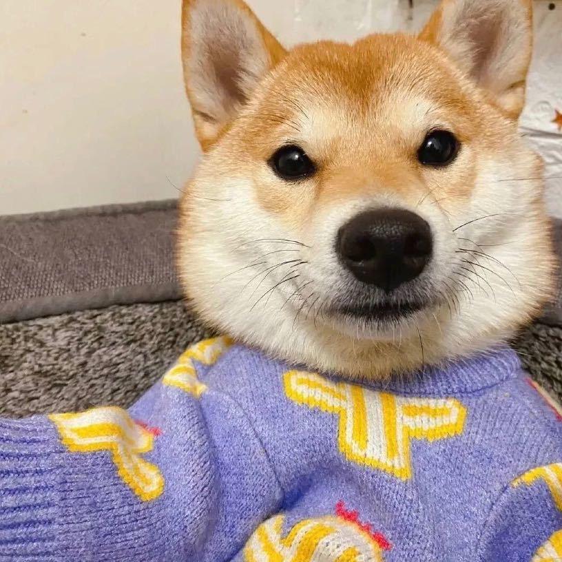 冬瓜排骨汤没有排骨