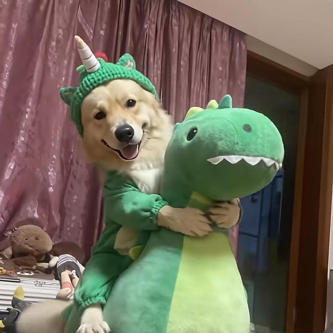 包仔饭溏心蛋