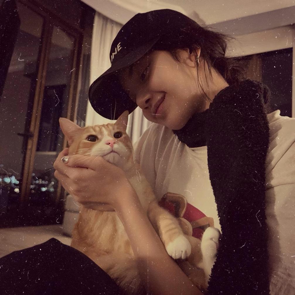 綛鎮、💋