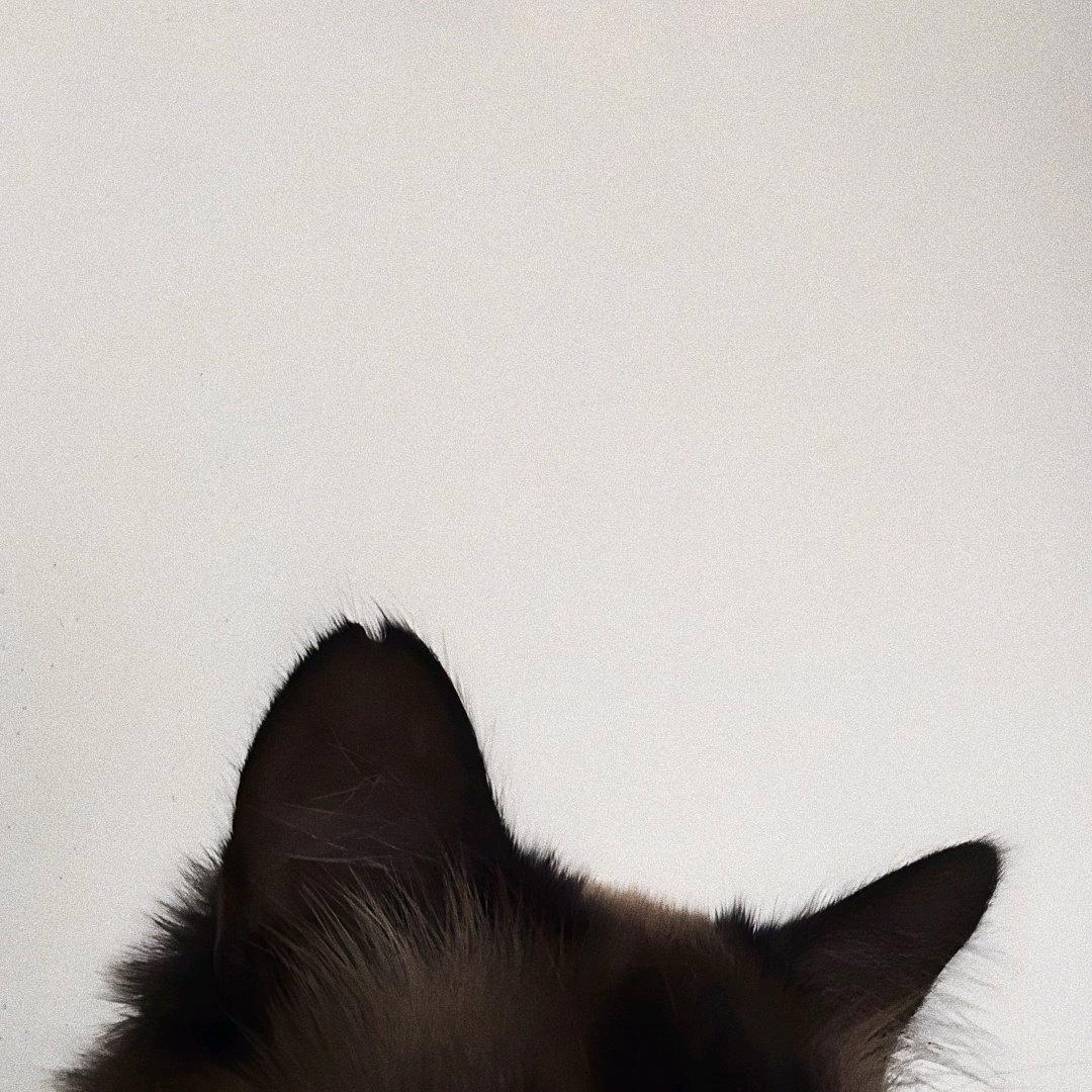 你蒜老几（暴龙战士版