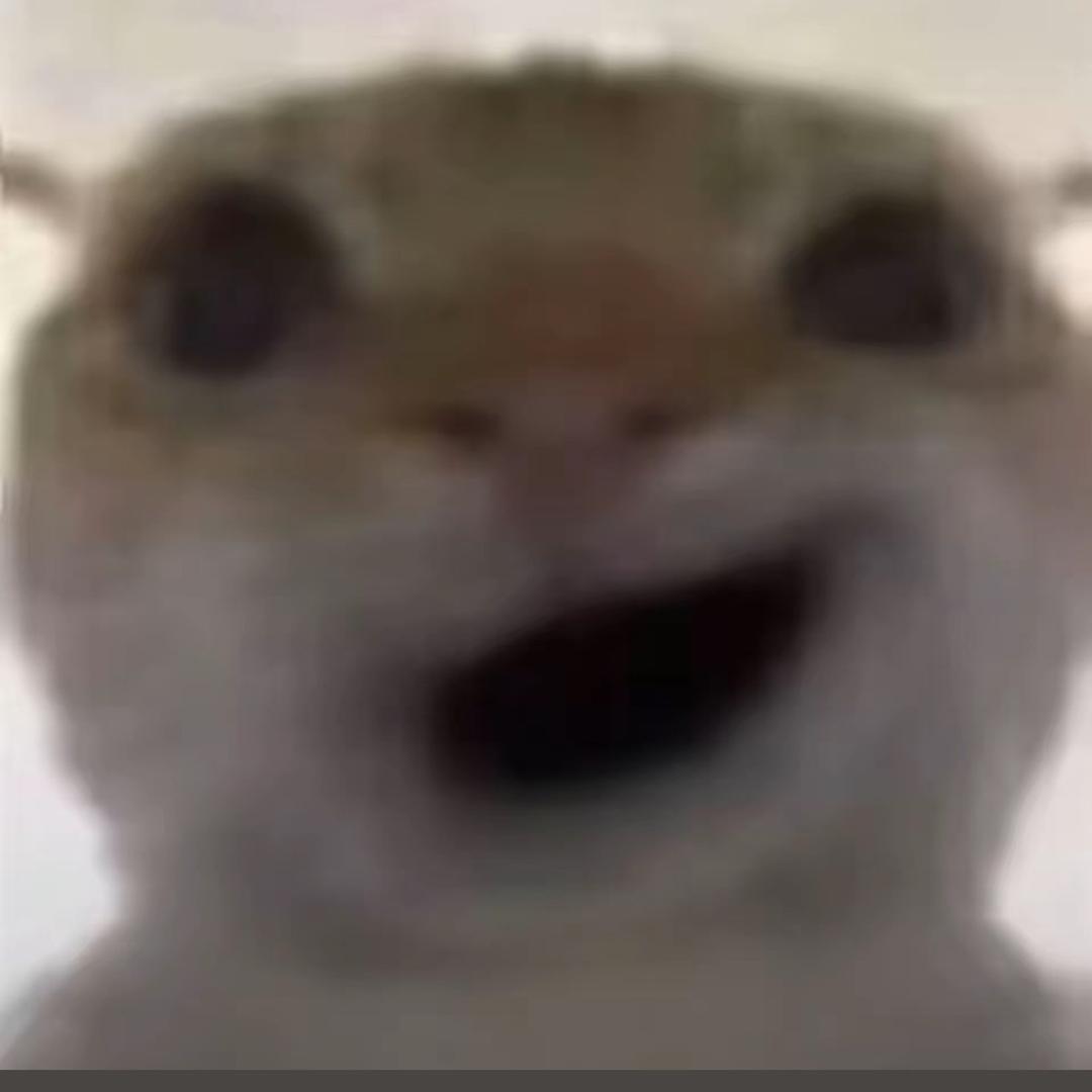 跑刀鼠鼠（24小时接单）