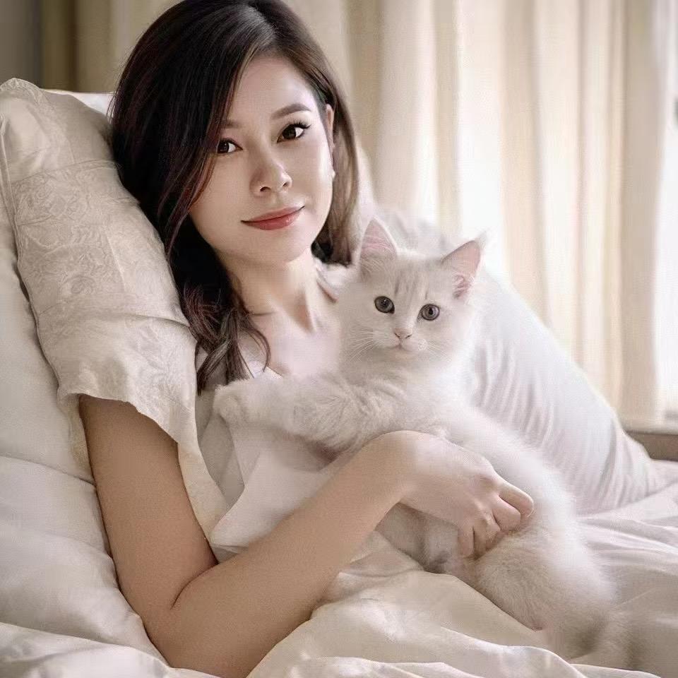 Y身材管理