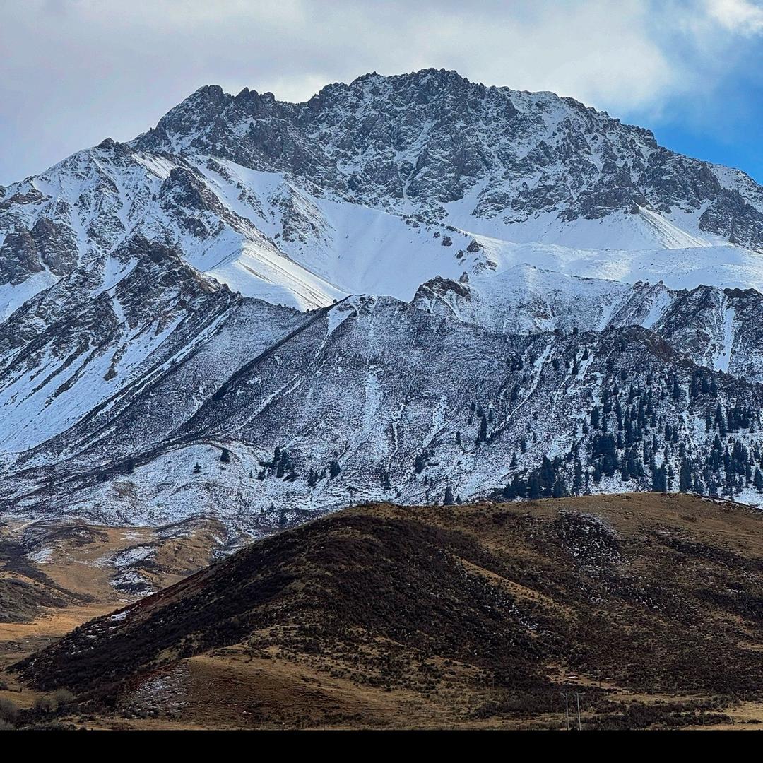 雪域马哥 (山货猎人)