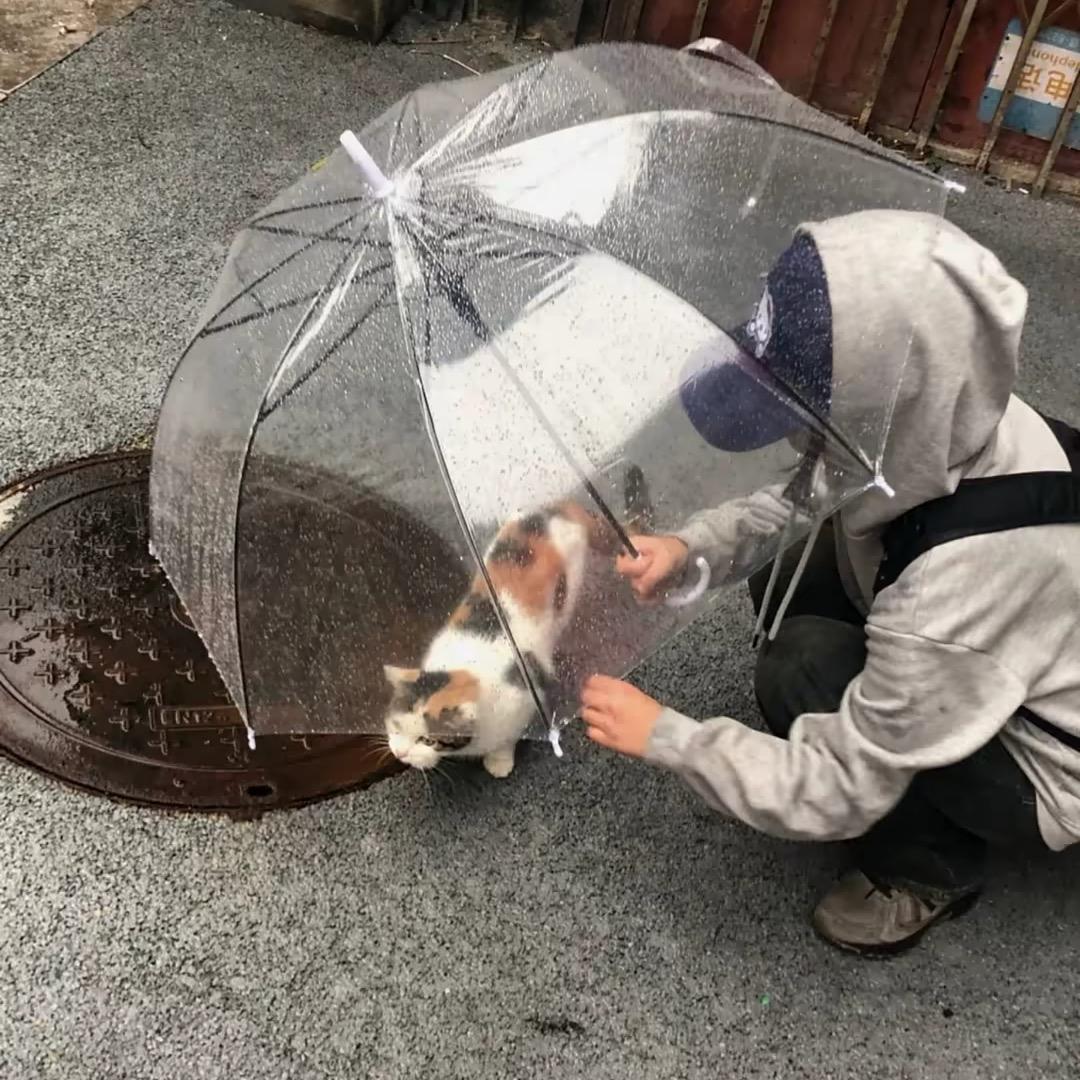 四个一