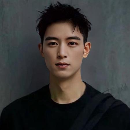 ぺ富±山よの猫↘